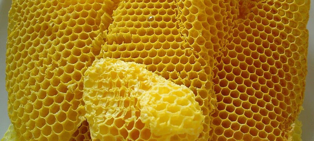 Купим пчелиный воск в Томске